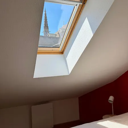 Le Duplex De La Bibliotheque - Velos Friendly- Centre Historique Et Proche Europa-park Lägenhet