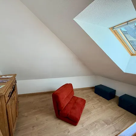 Lägenhet Le Duplex De La Bibliotheque - Velos Friendly- Centre Historique Et Proche Europa-park