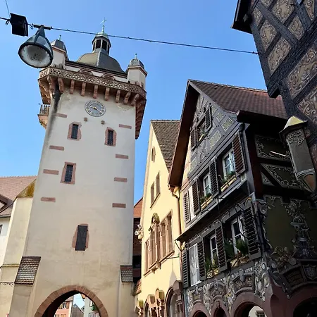 Le Duplex De La Bibliotheque - Velos Friendly- Centre Historique Et Proche Europa-park Lägenhet Sélestat