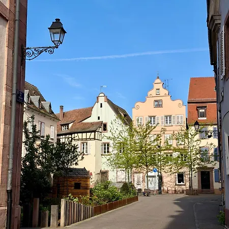 Le Duplex De La Bibliotheque - Velos Friendly- Centre Historique Et Proche Europa-park