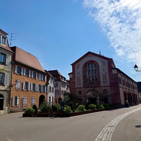 Lägenhet Le Duplex De La Bibliotheque - Velos Friendly- Centre Historique Et Proche Europa-park Sélestat