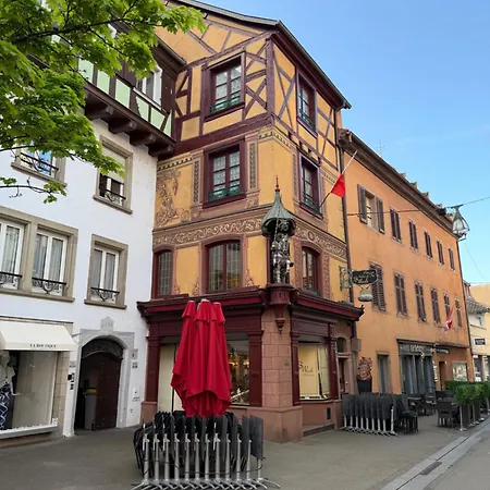 Le Duplex De La Bibliotheque - Velos Friendly- Centre Historique Et Proche Europa-park Lägenhet *