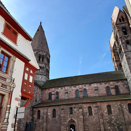 Lägenhet Le Duplex De La Bibliotheque - Velos Friendly- Centre Historique Et Proche Europa-park Sélestat