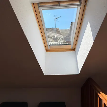 Lägenhet Le Duplex De La Bibliotheque - Velos Friendly- Centre Historique Et Proche Europa-park *